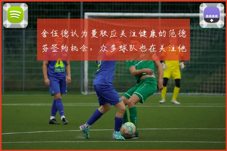 舍伍德认为曼联应关注健康的范德芬签约机会，众多球队也在关注他