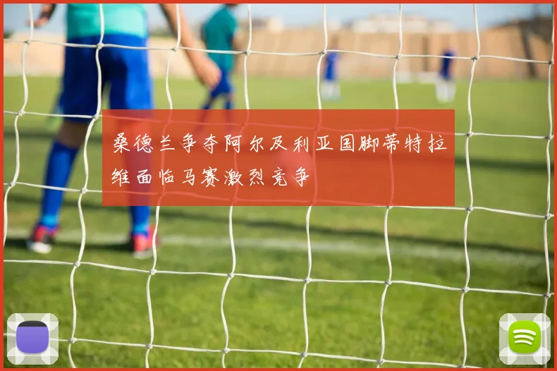 桑德兰争夺阿尔及利亚国脚蒂特拉维面临马赛激烈竞争
