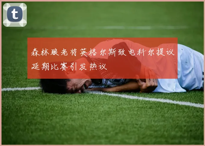 森林狼老将英格尔斯致电科尔提议延期比赛引发热议